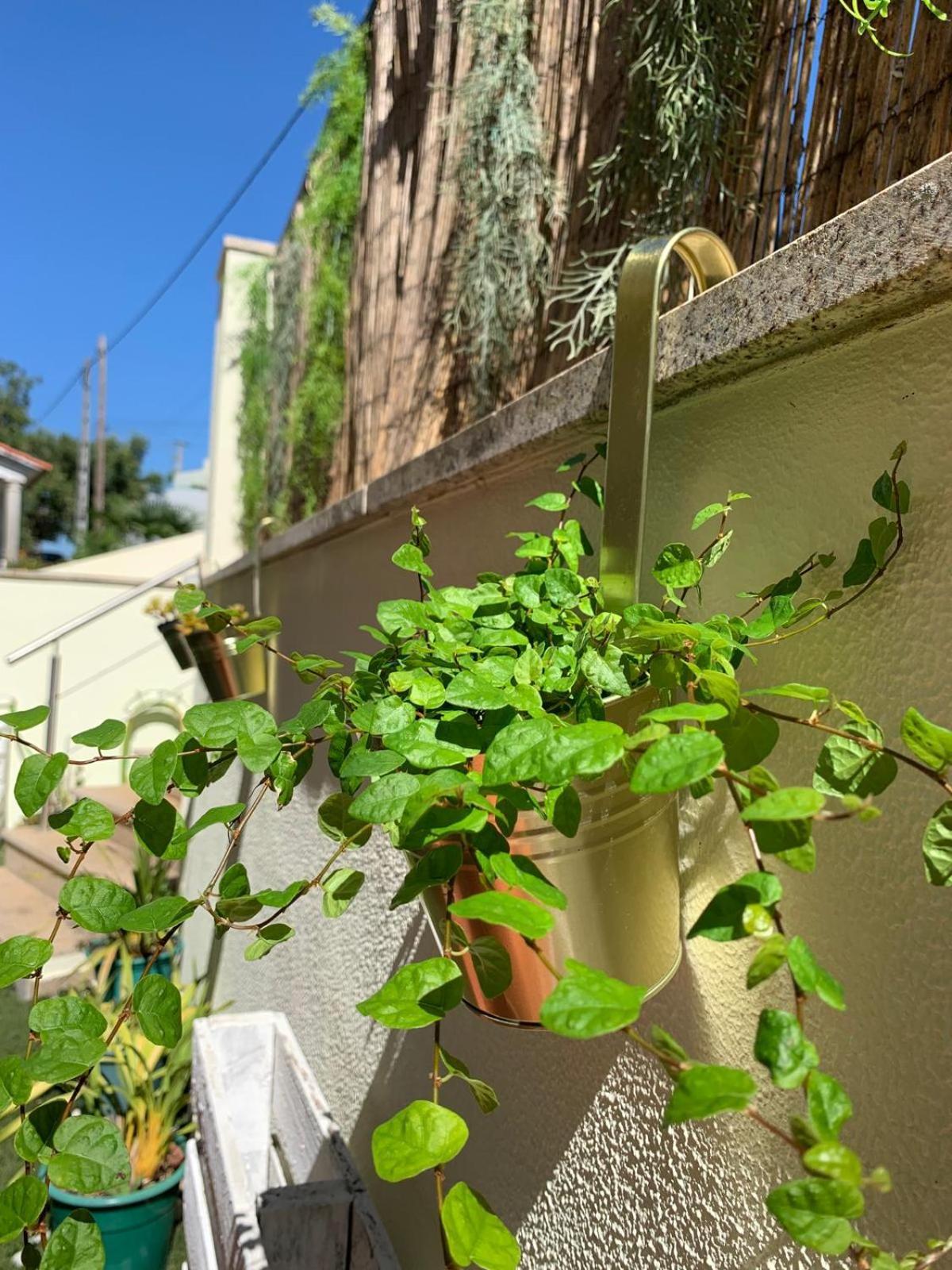 Deluxe Studio com terraço e varanda privada - 'Casinha da Amoreira' Guesthouse Coimbra Exterior foto